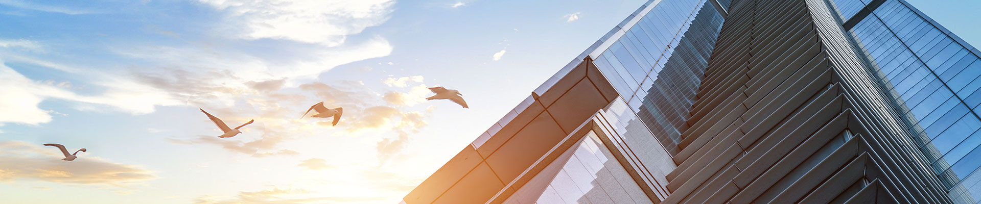 廣東國新機電有限公司 廣東國新機電有限公司